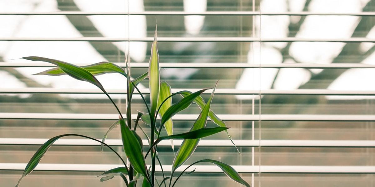 Pros and Cons of Windows with Built-In Blinds